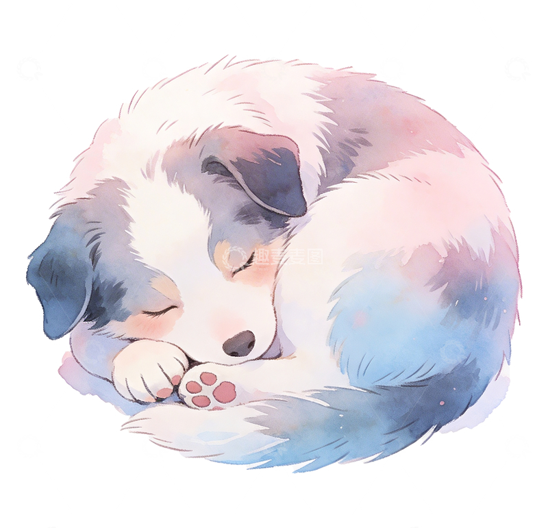 源文件下载【趣麦麦图】水彩风格一只睡觉的边牧3