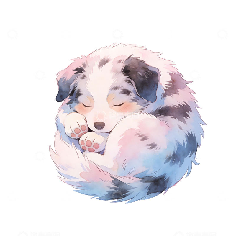 源文件下载【趣麦麦图】水彩风格一只睡觉的边牧6