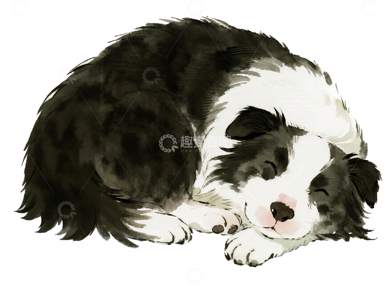 源文件下载【趣麦麦图】水彩风格一只睡觉的边牧5