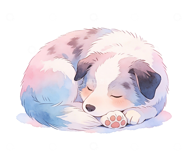 源文件下载【趣麦麦图】水彩风格一只睡觉的边牧8