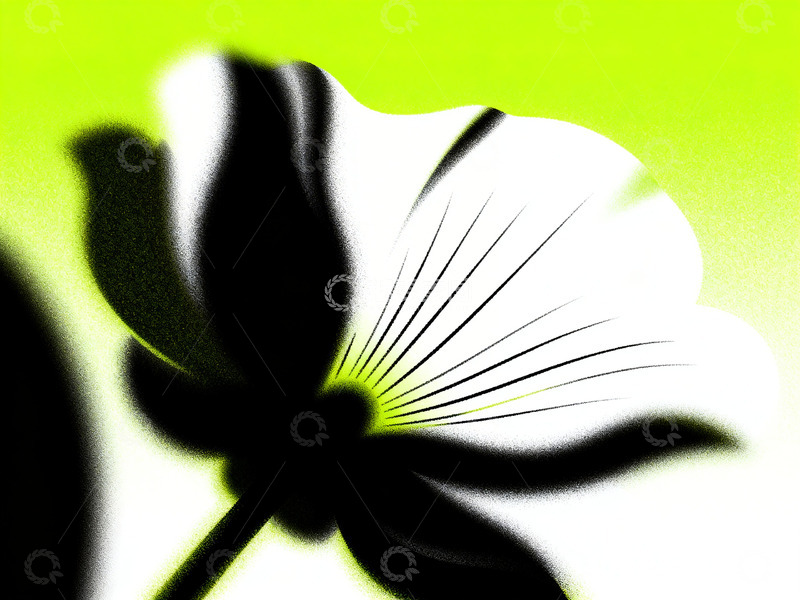 高清大图下载【趣麦麦图】渐变花朵背景插画4