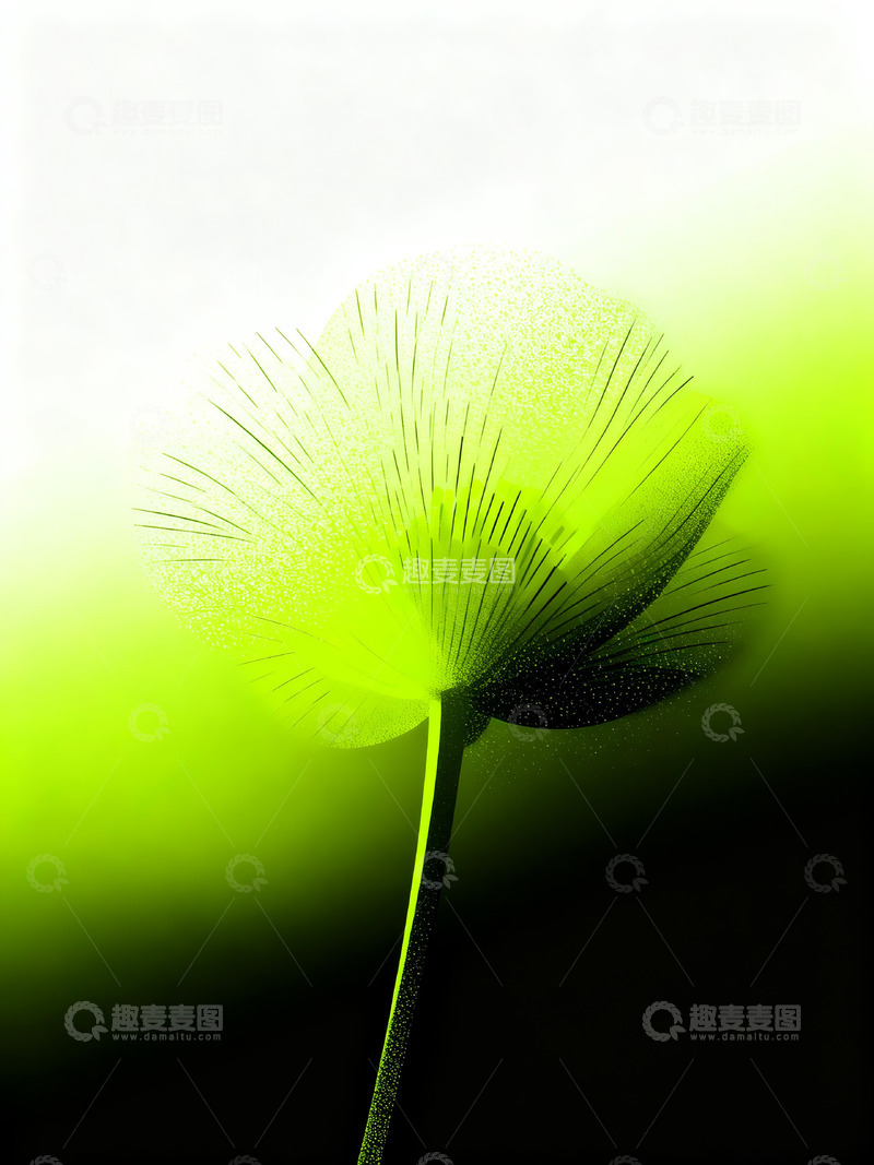 高清大图下载【趣麦麦图】渐变花朵背景4