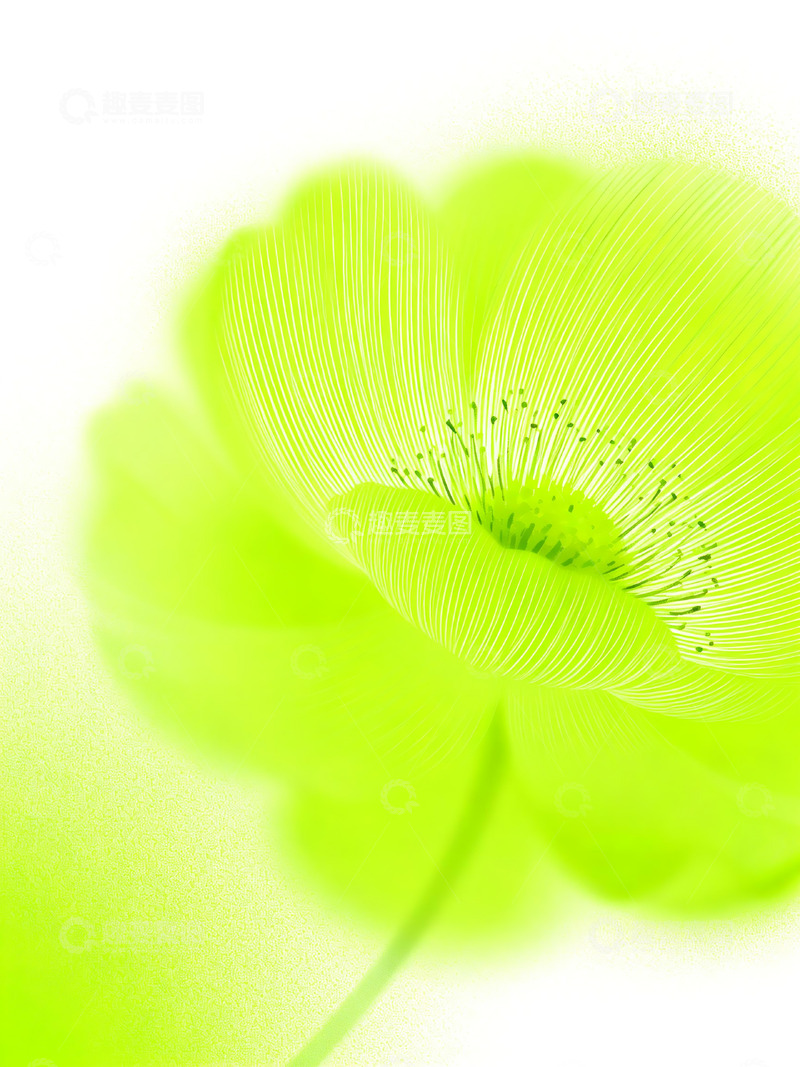 高清大图下载【趣麦麦图】渐变花朵背景插画