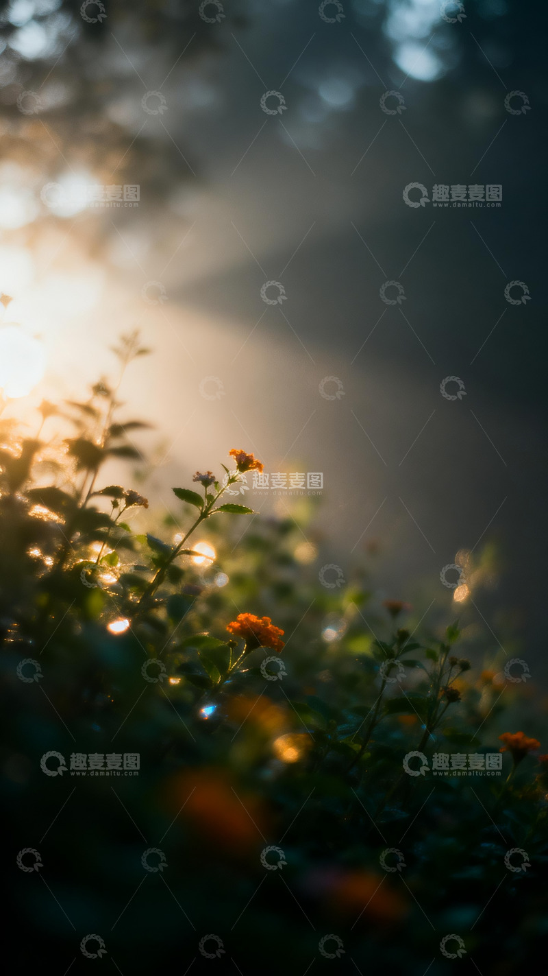 高清大图下载【趣麦麦图】花丛写意摄影5