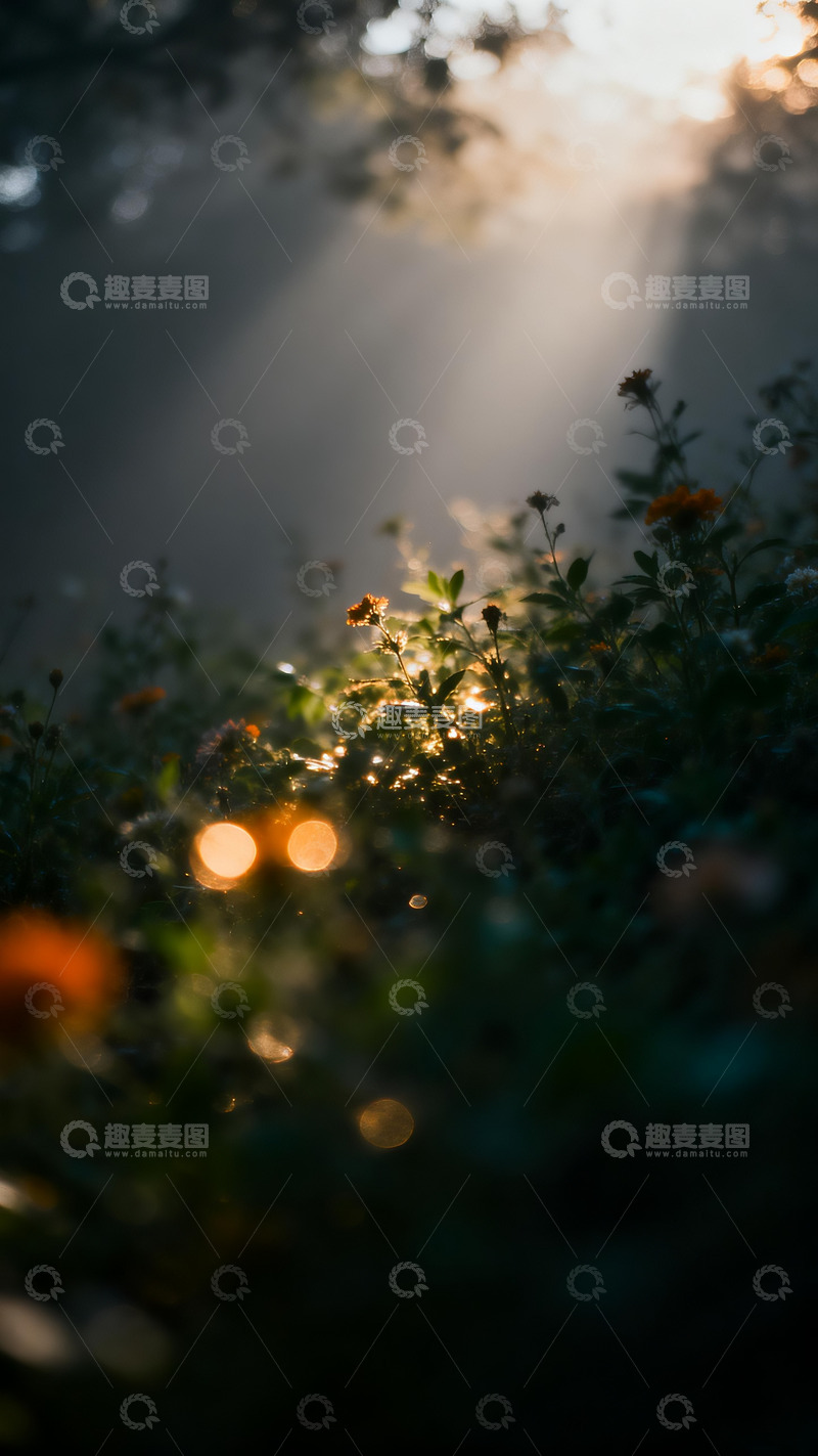 高清大图下载【趣麦麦图】花丛写意摄影4