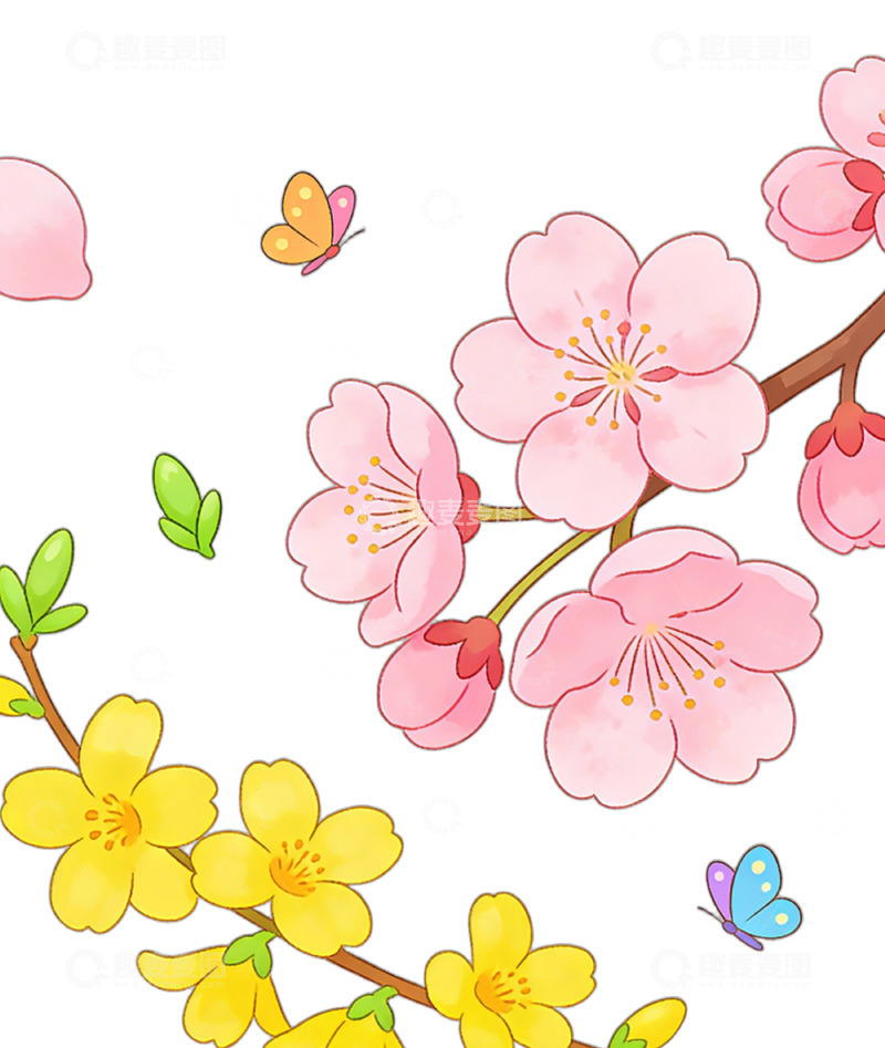 高清大图下载【趣麦麦图】春日樱花与黄花插画素材