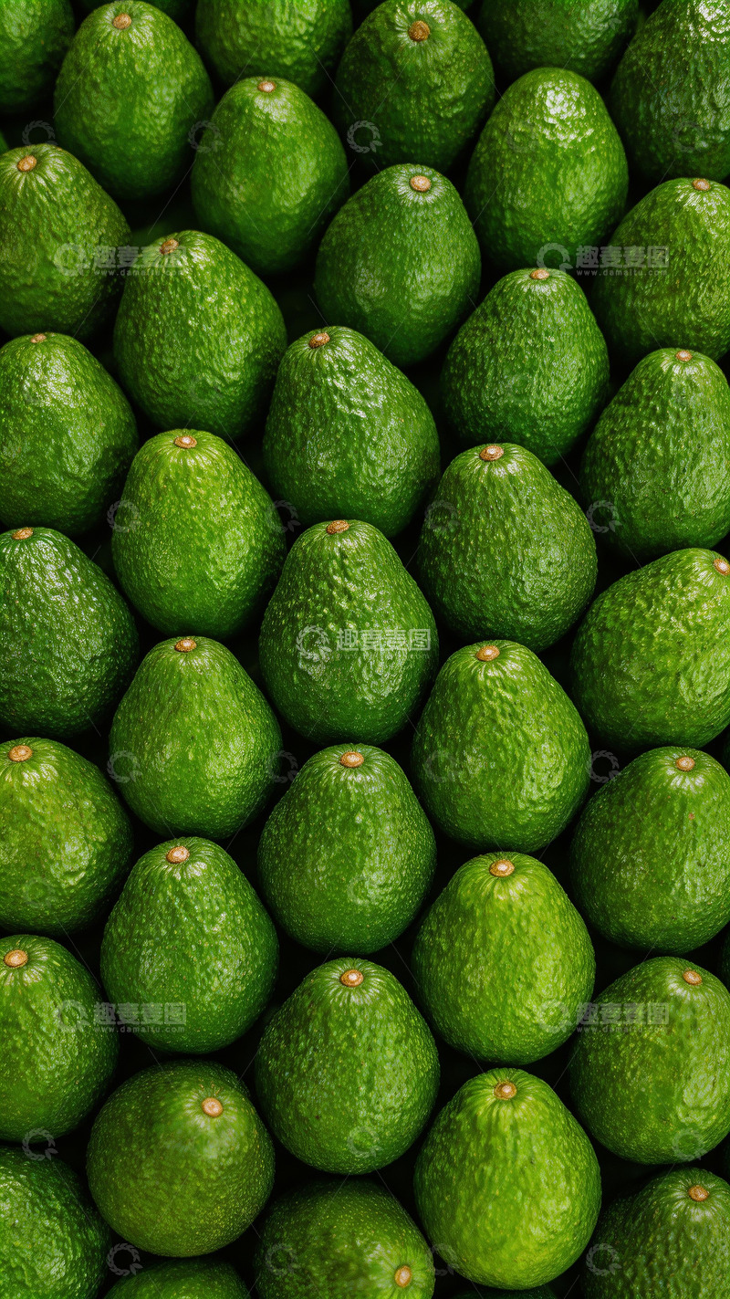 高清大图下载【趣麦麦图】一堆新鲜的牛油果2