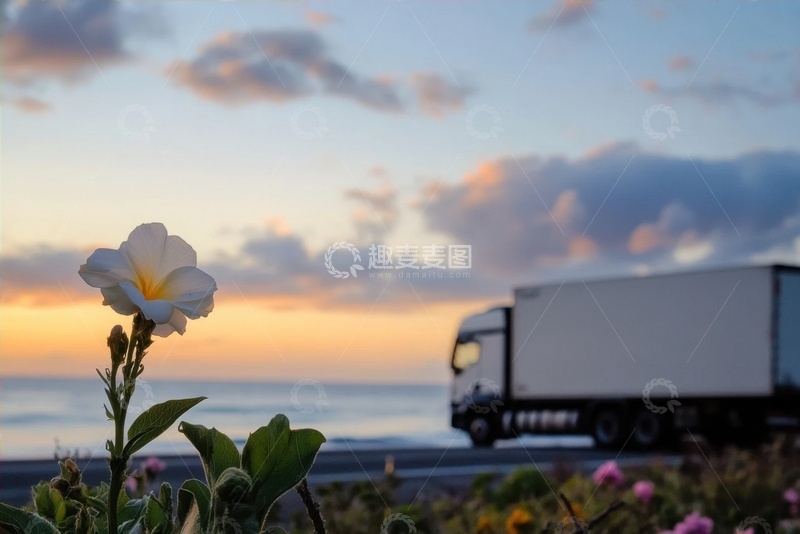高清大图下载【趣麦麦图】大海边停留的卡车和小白花