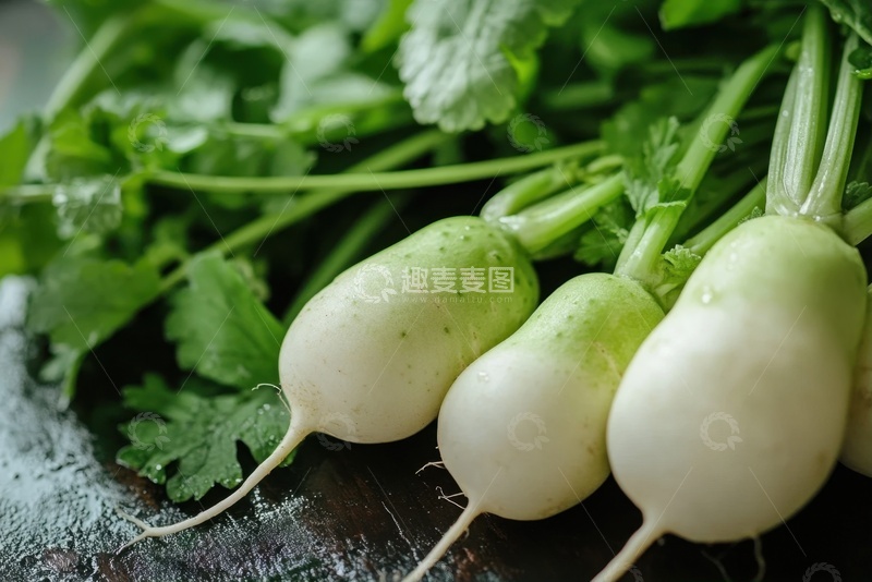 高清大图下载【趣麦麦图】白色的新鲜水萝卜