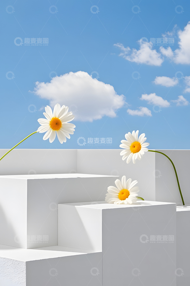 高清大图下载【趣麦麦图】简约风雏菊蓝天背景图