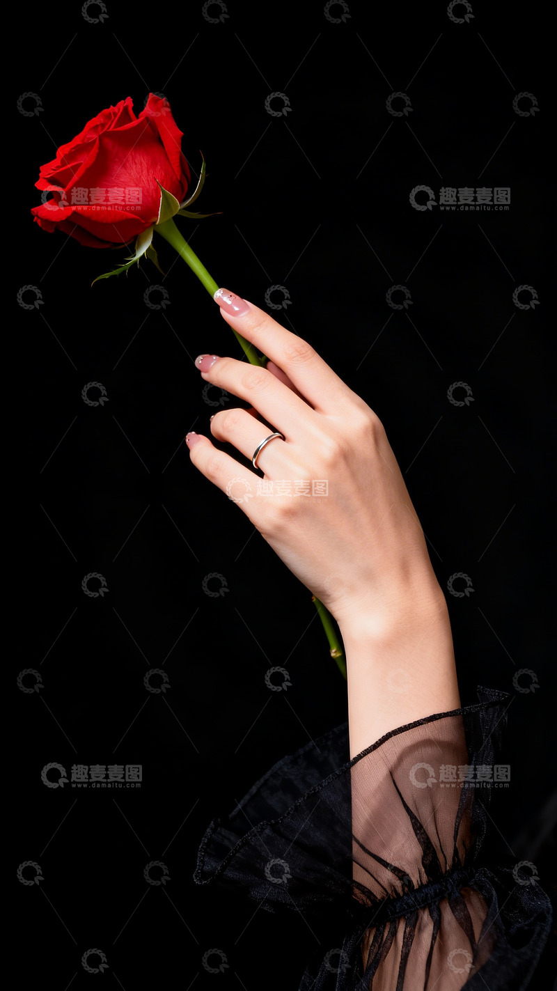 高清大图下载【趣麦麦图】手拿一朵红玫瑰4