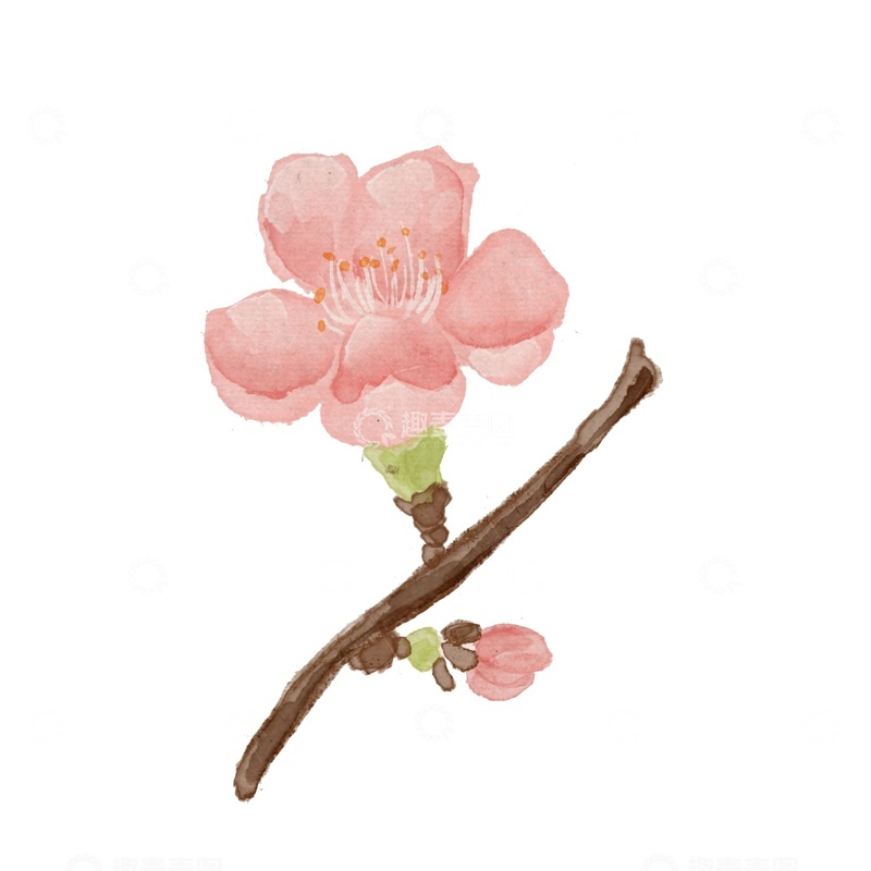 源文件下载【趣麦麦图】水彩桃花盛开图