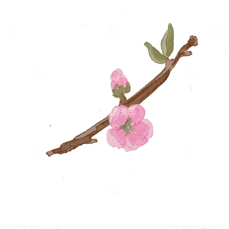 源文件下载【趣麦麦图】水彩桃花枝插画素材
