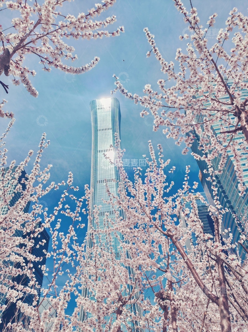 高清大图下载【趣麦麦图】城市春花高楼美景
