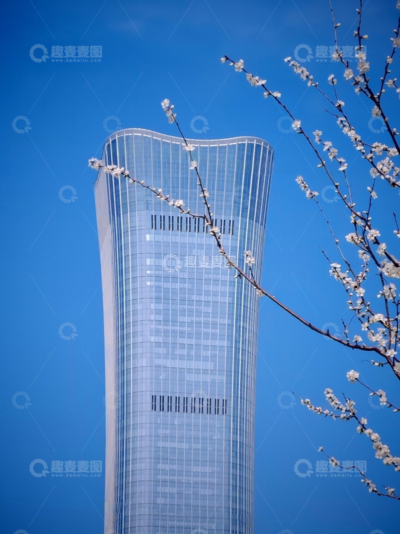 高清大图下载【趣麦麦图】现代高楼与春花相映成趣