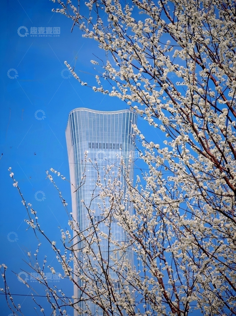 高清大图下载【趣麦麦图】春花映高楼现代建筑美景