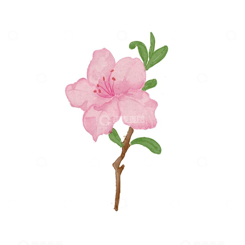 源文件下载【趣麦麦图】水彩桃花插画设计元素