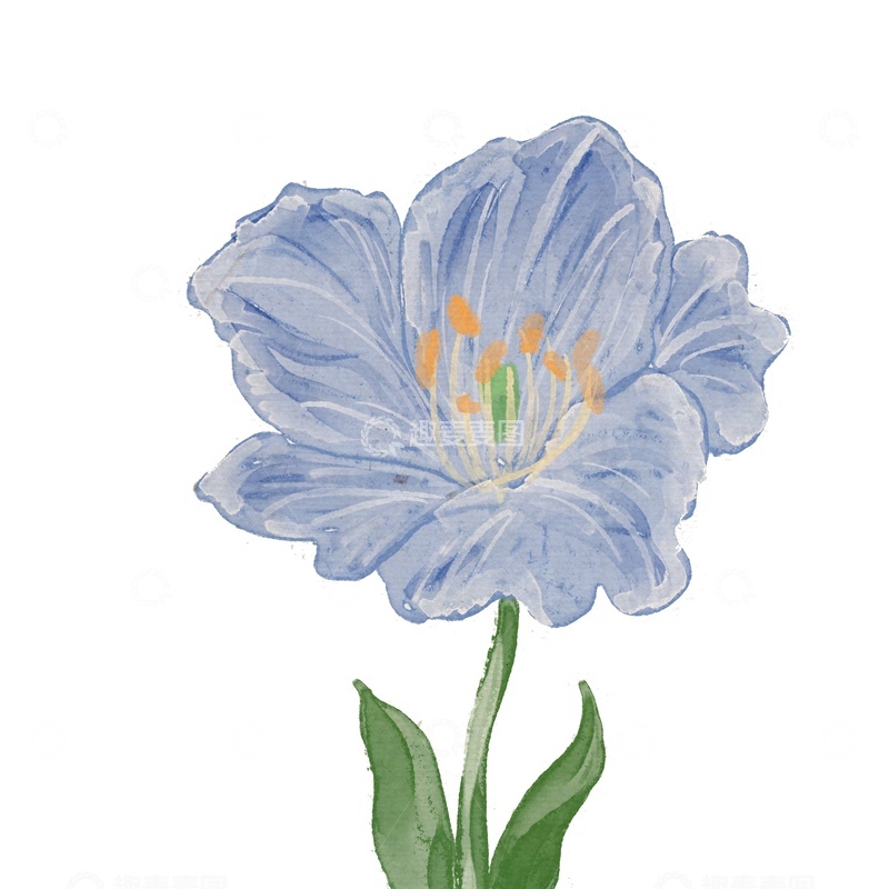 源文件下载【趣麦麦图】水彩花卉绽放图