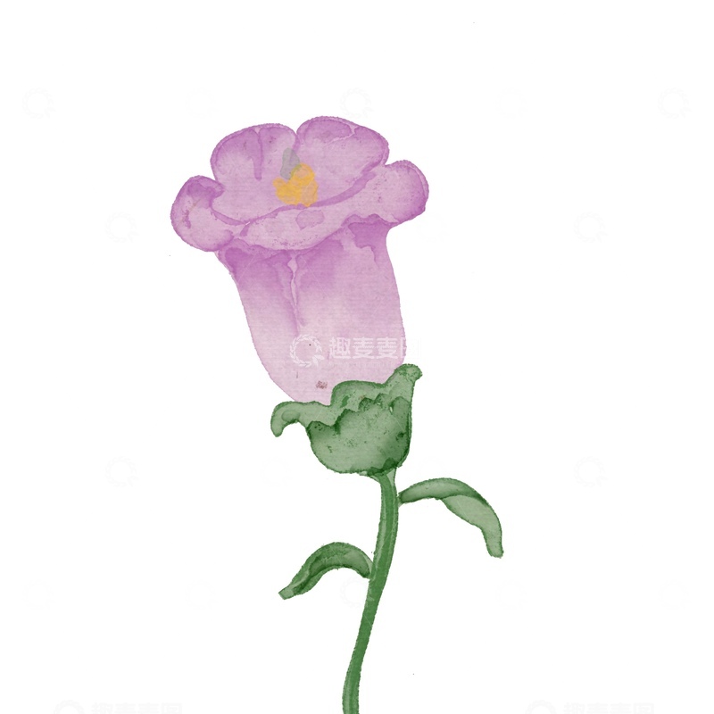 源文件下载【趣麦麦图】水彩风紫色花朵手绘插画