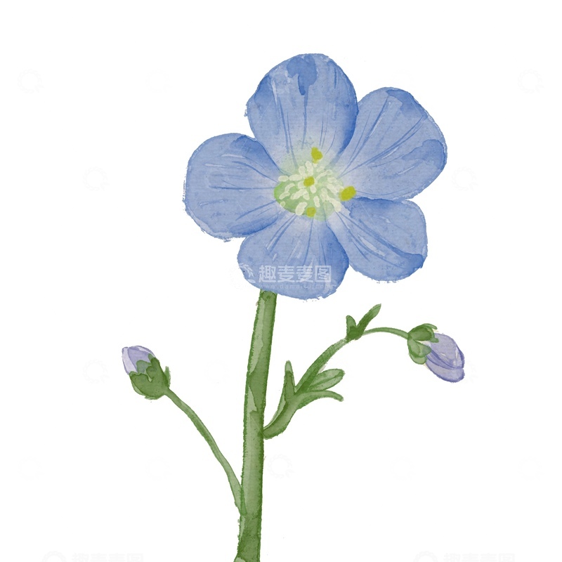 源文件下载【趣麦麦图】蓝色花朵手绘插画