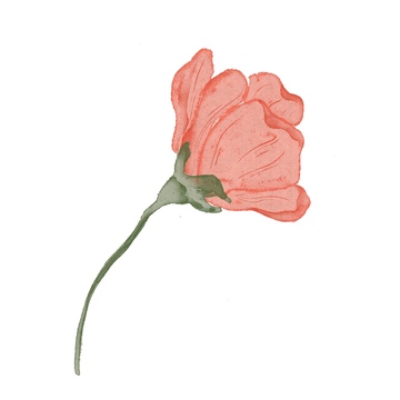 水彩春天花卉插画