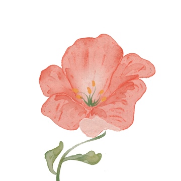 水彩花卉装饰画素材