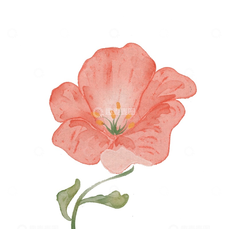 源文件下载【趣麦麦图】水彩花卉装饰画素材