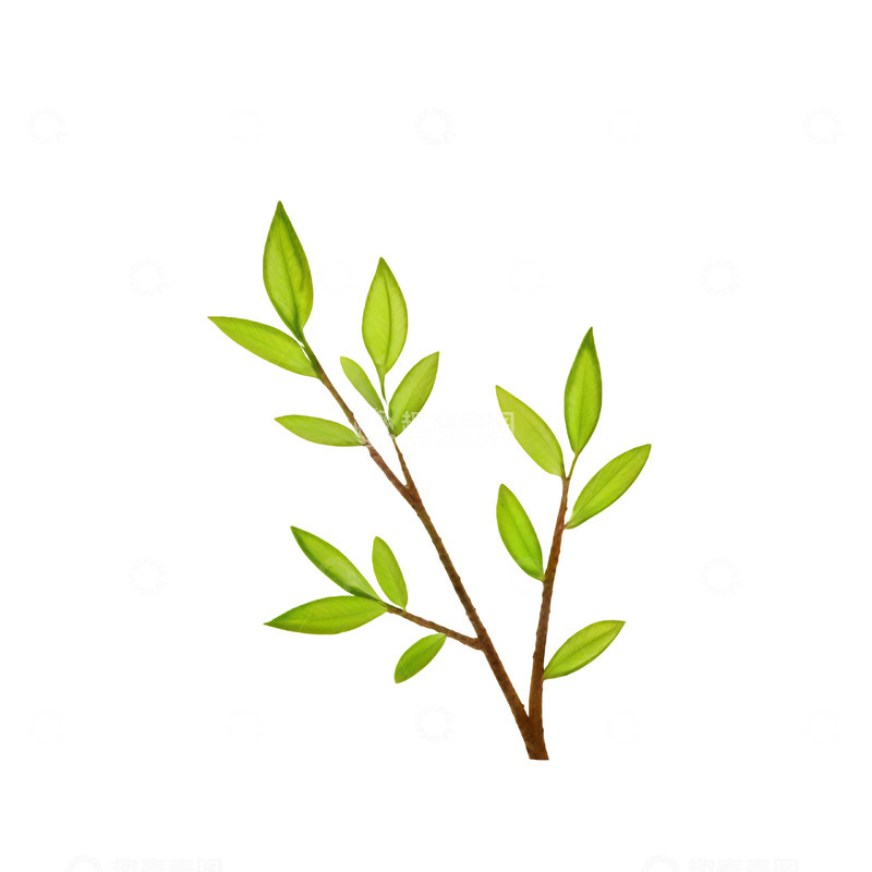 高清大图下载【趣麦麦图】插画风格绿色树枝元素