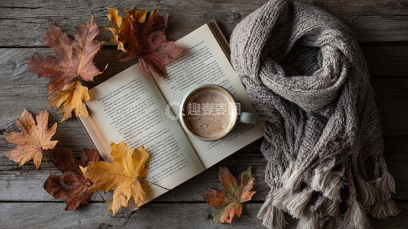 高清大图下载【趣麦麦图】秋意浓郁的书香时光