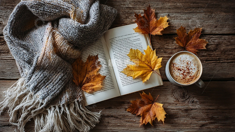 高清大图下载【趣麦麦图】秋日温馨静谧时光