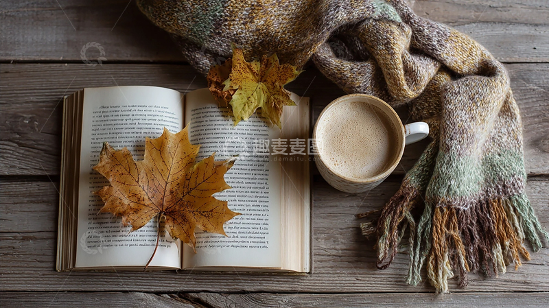 高清大图下载【趣麦麦图】枫叶飘落的温暖午后