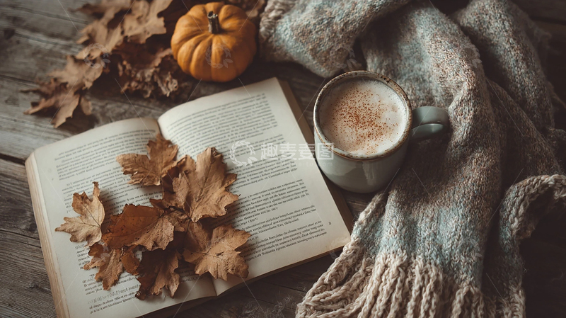 高清大图下载【趣麦麦图】温馨秋日阅读角落