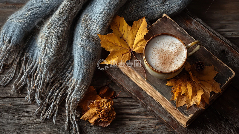 高清大图下载【趣麦麦图】秋日暖意融融的咖啡时光