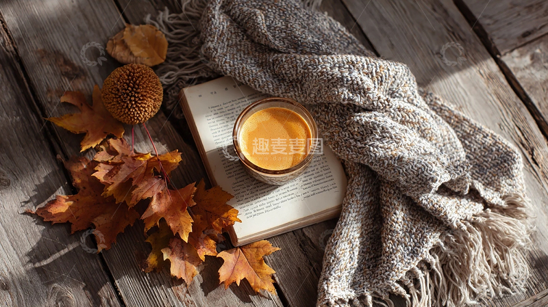 高清大图下载【趣麦麦图】秋日静谧时光的温暖瞬间