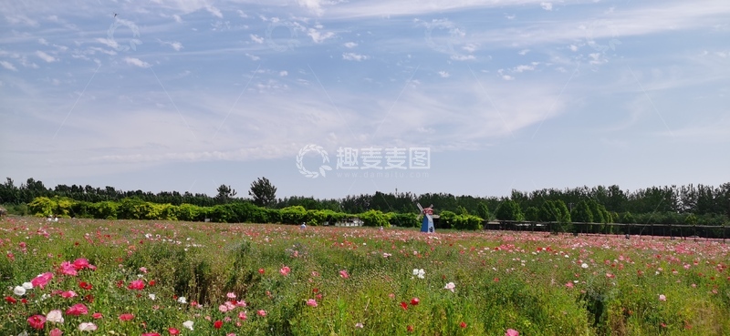 高清大图下载【趣麦麦图】-花海蓝天人物风景摄影