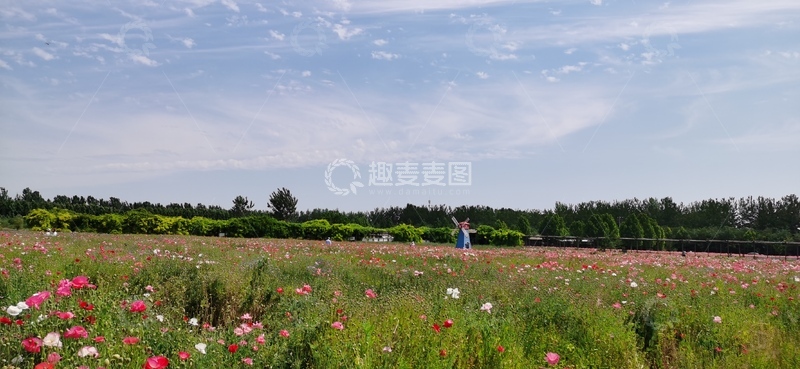 高清大图下载【趣麦麦图】花海田园风光摄影