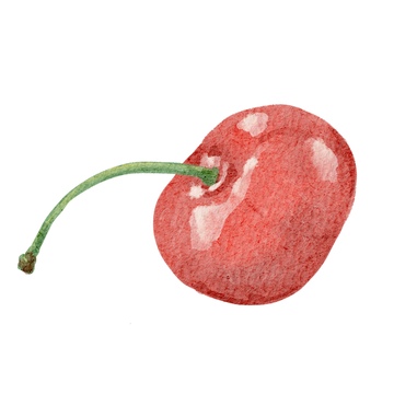 水彩樱桃水果插画