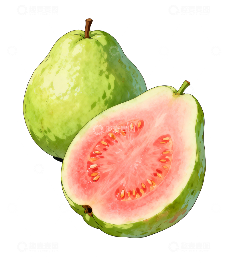 源文件下载【趣麦麦图】手绘风格红心芭乐1