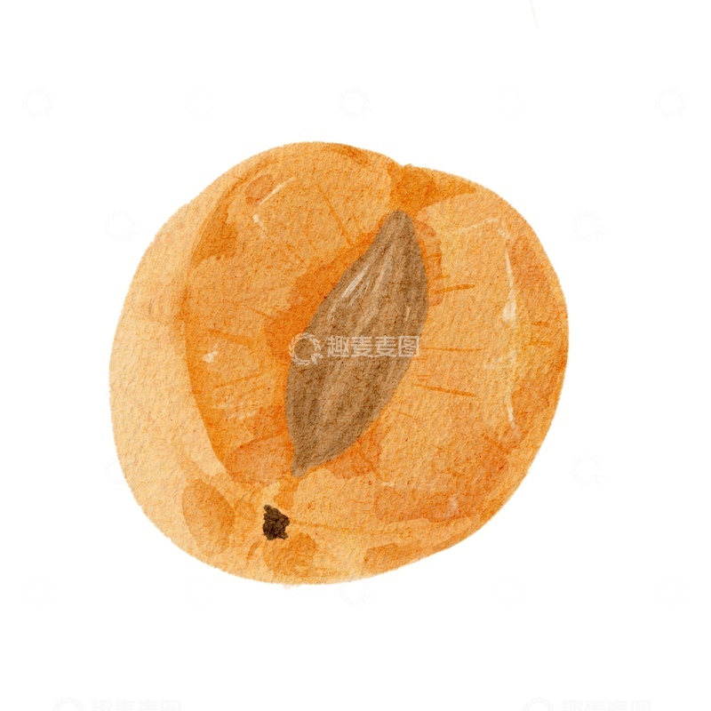 源文件下载【趣麦麦图】水彩画杏干美食食材插画素材