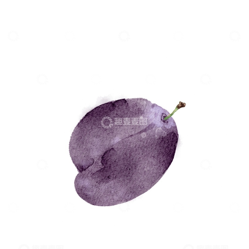 源文件下载【趣麦麦图】水彩李子水果插画设计元素