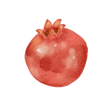 水彩石榴水果插图