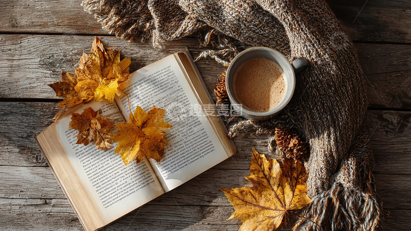 高清大图下载【趣麦麦图】秋日静谧中的阅读时光