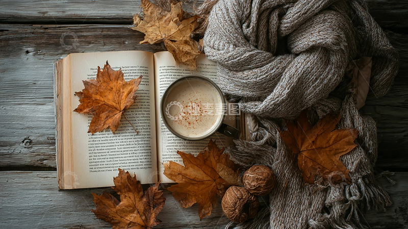 高清大图下载【趣麦麦图】落叶伴随浓郁奶香的秋日午后