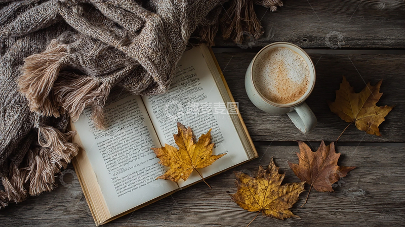 高清大图下载【趣麦麦图】秋日阅读时光的温暖韵味