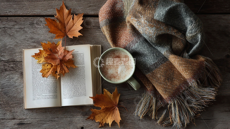 高清大图下载【趣麦麦图】秋日温馨书房的慵懒时光