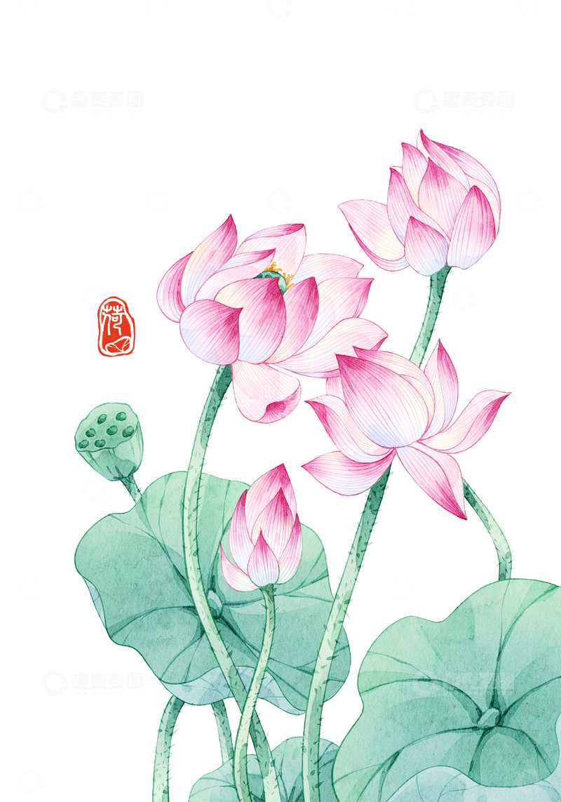 源文件下载【趣麦麦图】水彩荷花淡雅插画
