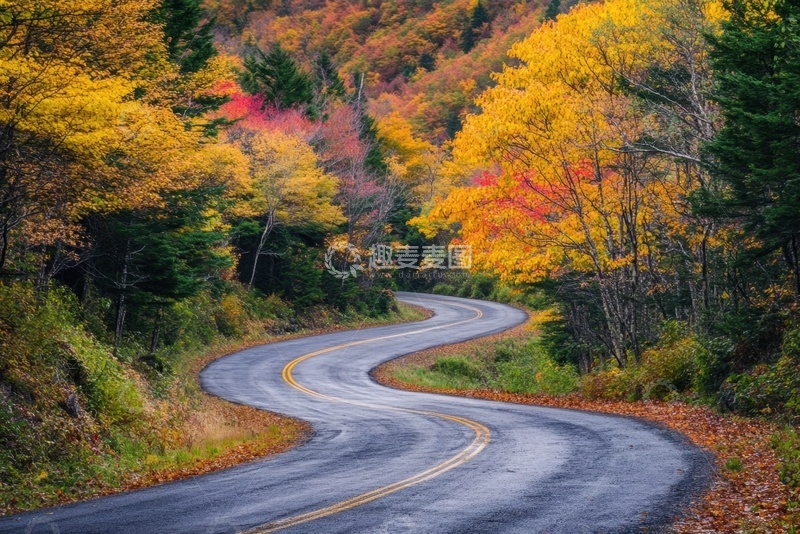 高清大图下载【趣麦麦图】山地森林里蜿蜒的公路