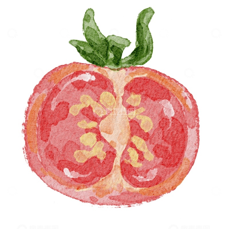 源文件下载【趣麦麦图】水彩画石榴果实插画
