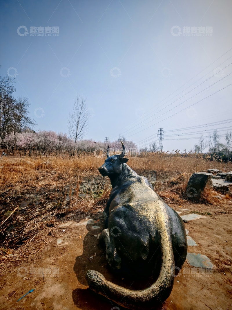 高清大图下载【趣麦麦图】荒野牛雕塑风景摄影