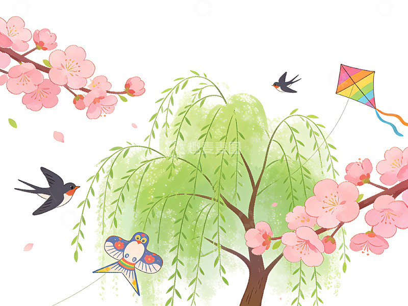 高清大图下载【趣麦麦图】春季风筝樱花柳树插画